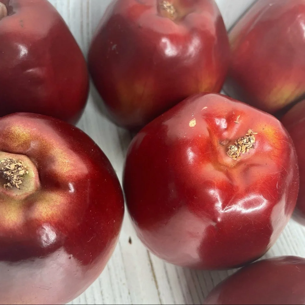 Realistic Faux Artificial Red Delicious Apples Set of 7